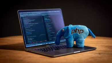 PHP İle Sunucuya Dosya Çekme